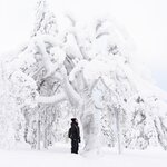 Photo taken by Raylene C