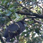 Photo taken by Joyce C