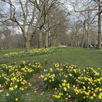 Photo taken by Marcy B