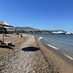 Photo taken by Janice R