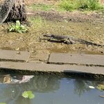 Photo taken by Megan H