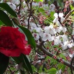 Photo taken by Mark C