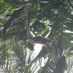 Photo taken by Hannah S