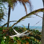 Photo taken by Brett F