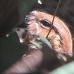 Photo taken by Bonnie Y