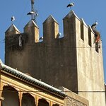 Photo taken by Cheryl L