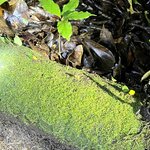 Photo taken by Julie G