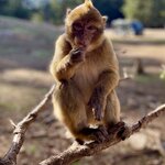 Photo taken by Cristy C