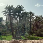 Photo taken by Della O