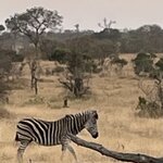 Photo taken by Joanne B