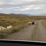 Photo taken by Debbie B