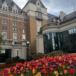 Photo taken by Fernanda S