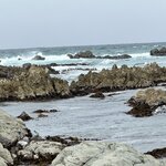 Photo taken by Lisa S