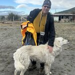 Photo taken by Donna R