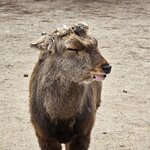 Photo taken by Hanna W