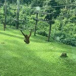 Photo taken by Micheline F