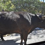 Photo taken by William R