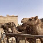 Photo taken by Jack K