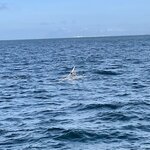 Photo taken by John F