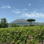 Photo taken by Carole D