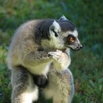 Photo taken by Nicholas P