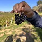 Photo taken by Charles H