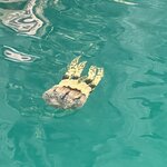 Photo taken by Edit M