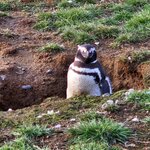 Photo taken by Stefani C