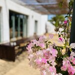 Photo taken by Susan W