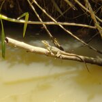 Photo taken by Mordechay T