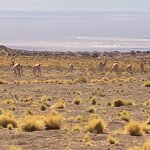 Photo taken by RENU J