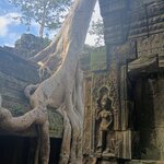 Photo taken by Karen S