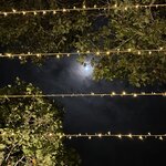 Photo taken by Victoria C