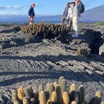 Photo taken by Sofia W