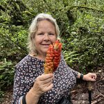 Photo taken by Dennis N