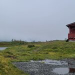 Photo taken by Tamara N