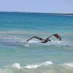 Photo taken by Vinay K