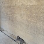 Photo taken by Kim M