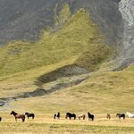 Photo taken by Janet M