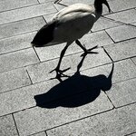 Photo taken by Rosemary S