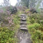 Photo taken by Marie D