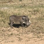 Photo taken by Joanne B