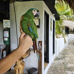 Photo taken by Peter F