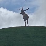 Photo taken by Rand M