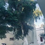 Photo taken by Wesley V