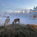 Photo taken by Ellyn V