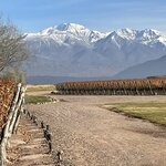 Photo taken by Graciela P