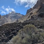 Photo taken by Dan C