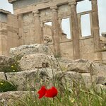 Photo taken by Miriam S