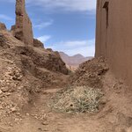 Photo taken by Nancy S